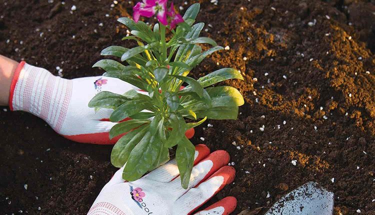 کاربرد دستکش باغبانی